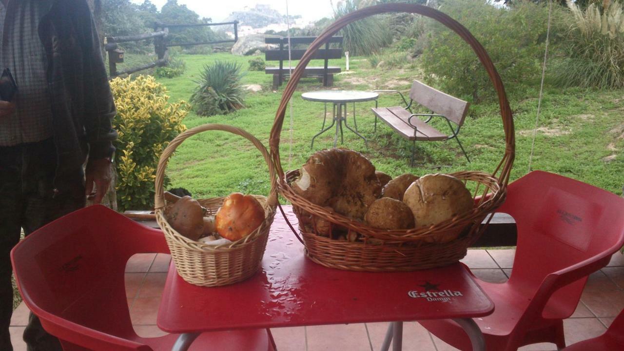 El Majano Guest House Montánchez Eksteriør bilde